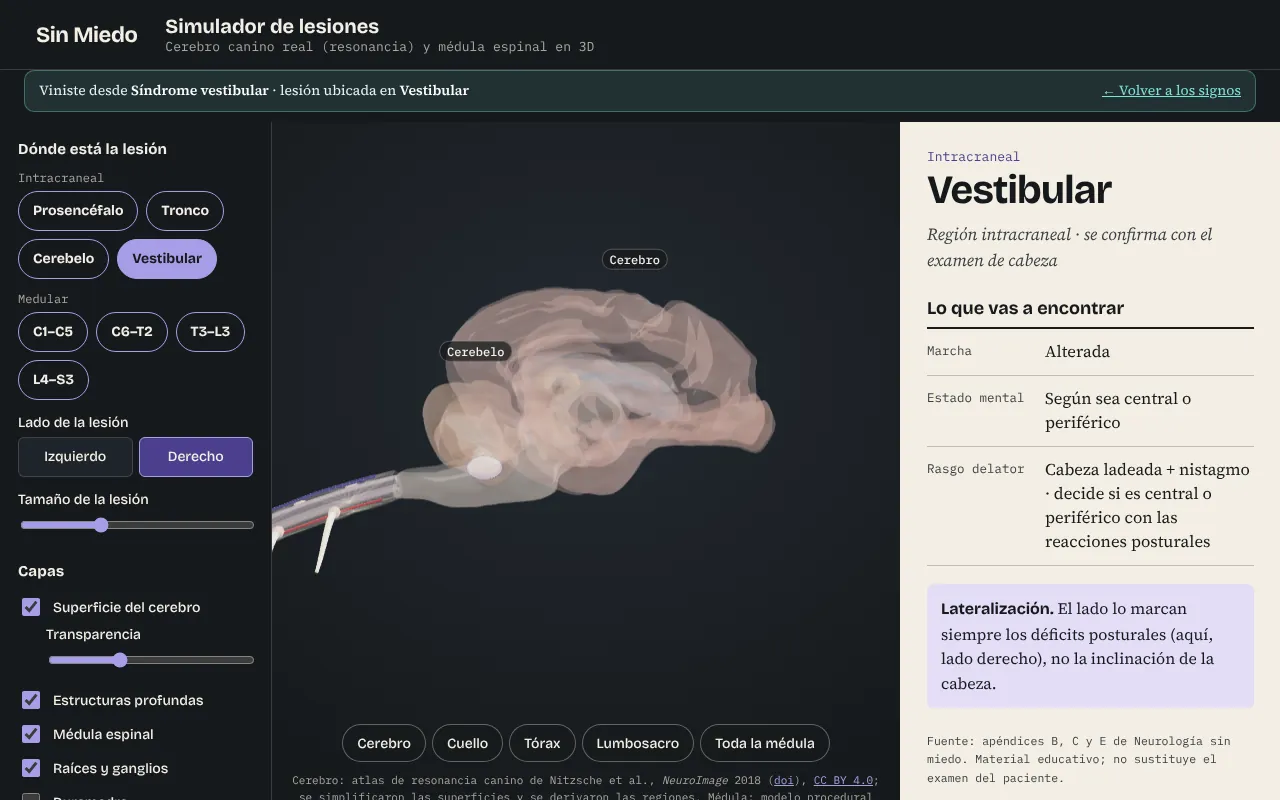Simulador 3D de lesiones del Club Axon Vet: cerebro y médula con la lesión vestibular colocada y el panel de signos